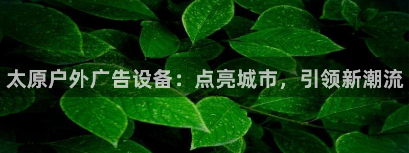 杏宇平台注册地址在哪里