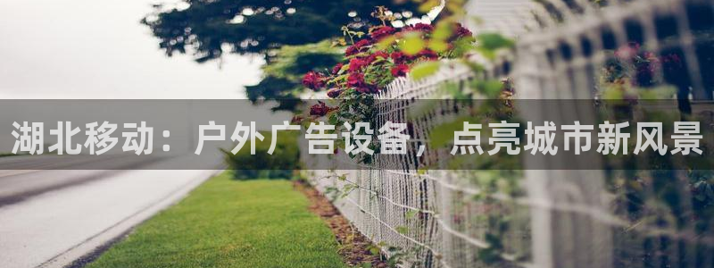 杏宇平台官网注册