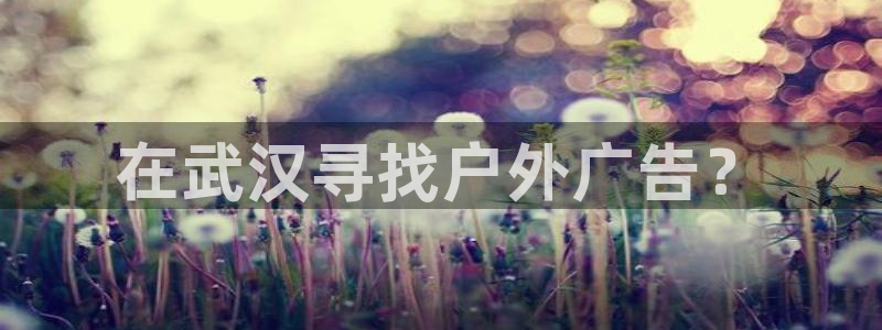 杏宇平台怎么样