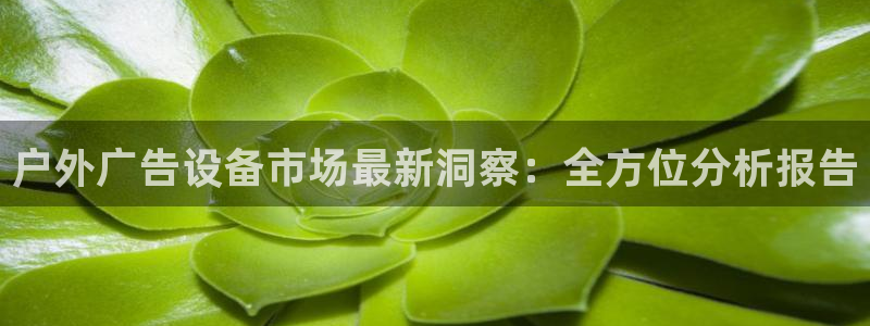 杏宇平台代理怎么赚钱