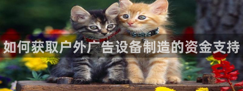 杏宇平台怎么样知乎