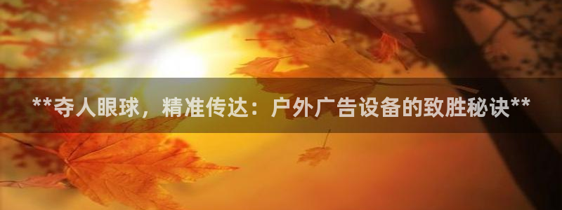 杏宇官方平台官网