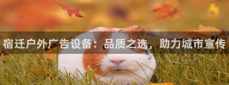 杏宇平台怎么样