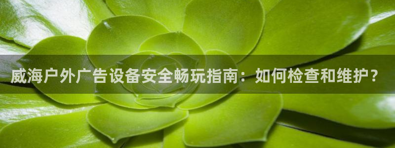 杏宇官方平台官网入口