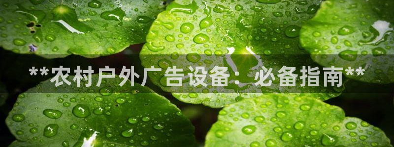 杏宇平台代理：**农村户外广告设备：必备指南**