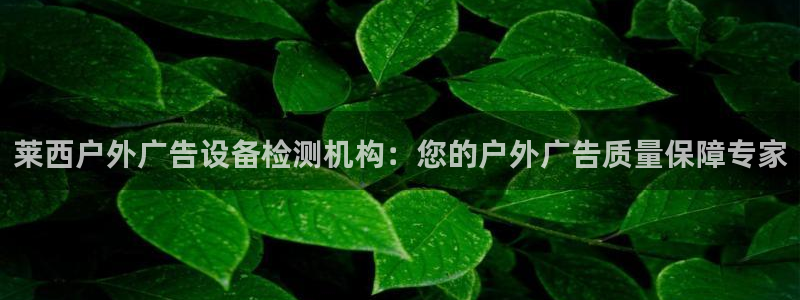 杏宇平台招商电话号码：莱西户外广告设备检测机构：您的户外广告质量保障专家