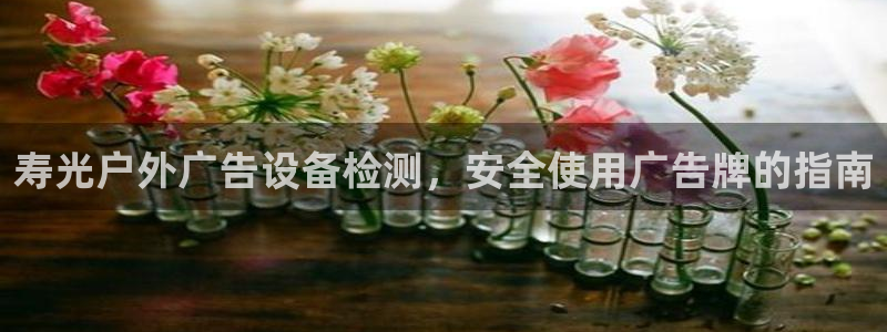 杏宇平台代理多少钱一个月