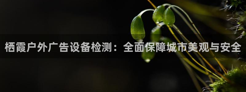 杏宇平台怎么样赚钱：栖霞户外广告设备检测：全面保障城市美观与安全
