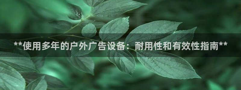 杏宇平台代理多少钱一个：**使用多年的户外广告设备：耐用性和有效性指南**
