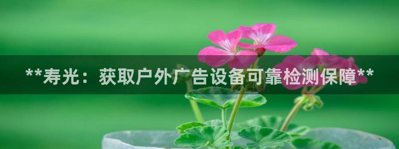 杏宇平台注册地址：**寿光：获取户外广告设备可靠检测保障**