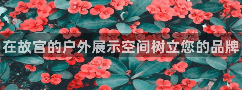 杏宇平台代理怎么赚钱的：在故宫的户外展示空间树立您的品牌