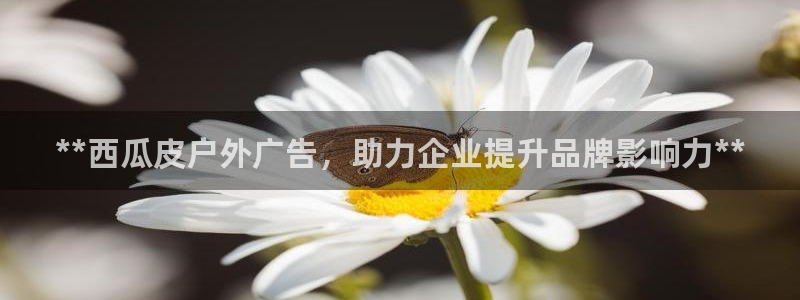 杏宇平台好吗：**西瓜皮户外广告，助力企业提升品牌影响力**