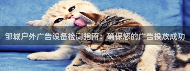 杏宇平台官网注册：邹城户外广告设备检测指南：确保您的广告投放成功