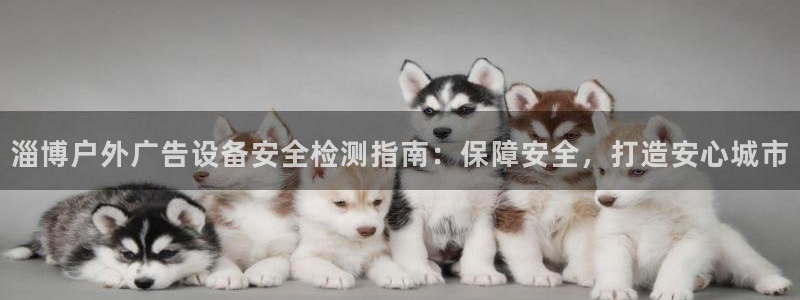 杏宇平台招商怎么样