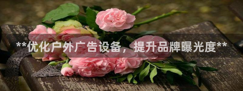 杏宇平台代理怎么赚钱