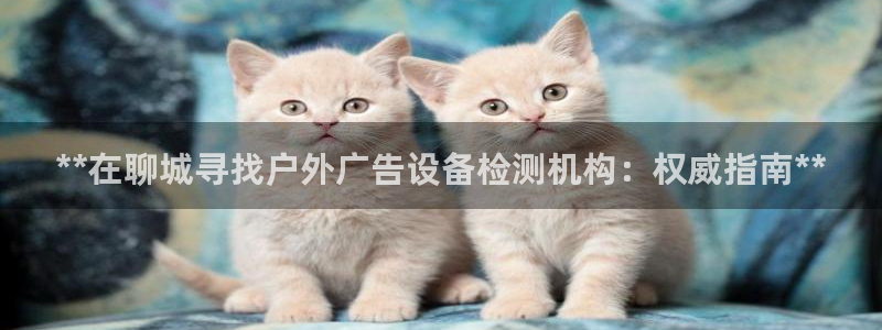 杏宇平台注册地址