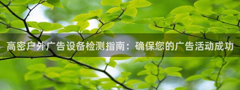 杏宇官方平台官网