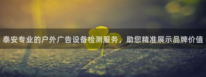 杏宇平台代理多少钱一个