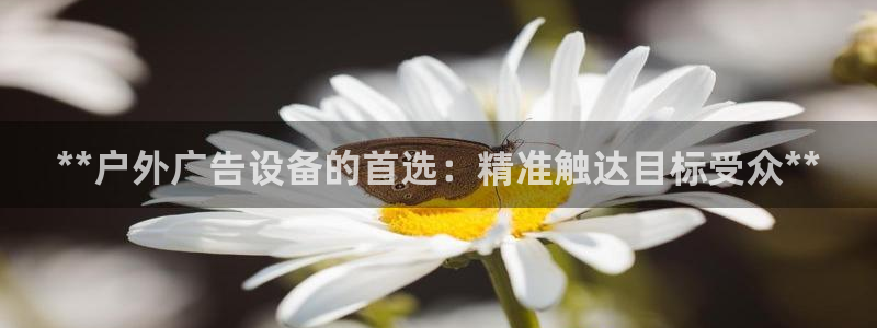 杏宇平台是什么