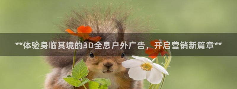 杏宇平台登录步骤图
