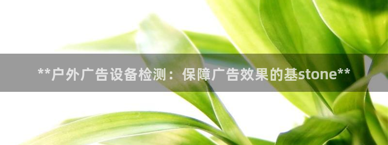 杏宇代理注册