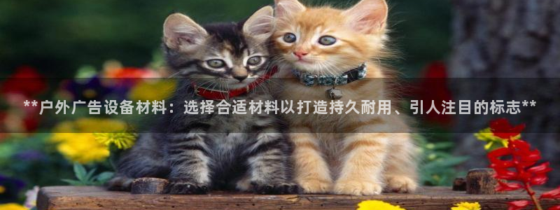杏宇官方平台官网下载