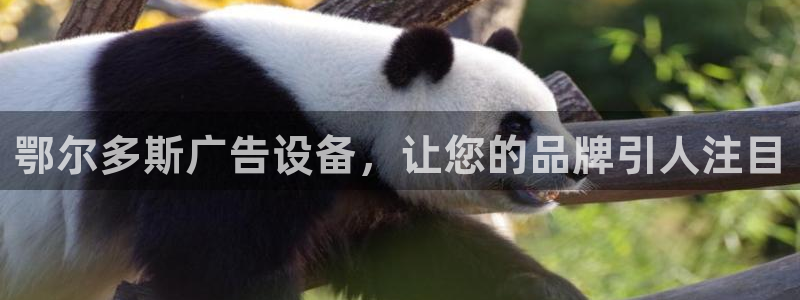 杏宇平台注册登录