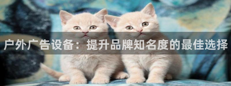 杏宇平台怎么样知乎