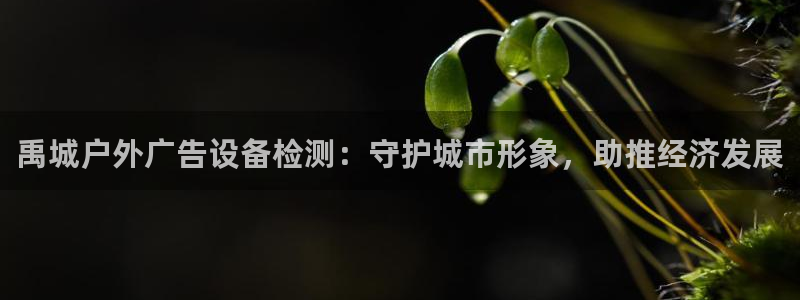 杏宇平台提现为什么这么久呢