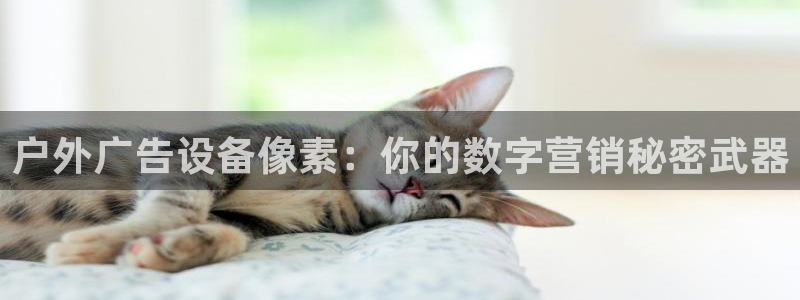 杏宇平台怎么样