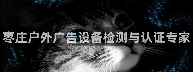 杏宇平台注册地址