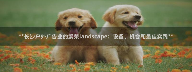 杏宇平台是什么：**长沙户外广告业的繁荣landscape：设备、机会和最佳实践**