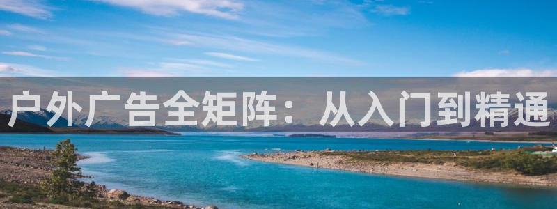 杏宇平台测速链接