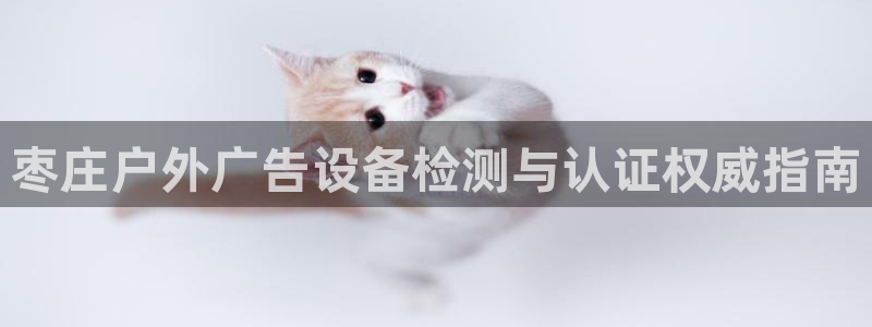 杏宇平台是什么：枣庄户外广告设备检测与认证权威指南
