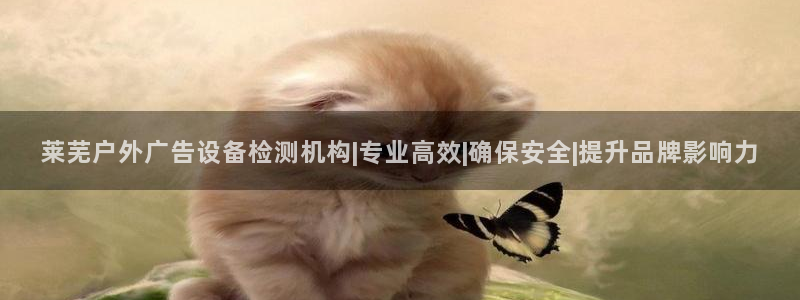 杏宇平台总代理是谁：莱芜户外广告设备检测机构|专业高效|确保安全|提升品牌影响力