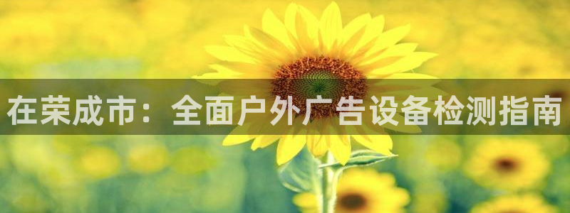 杏宇平台登录方法：在荣成市：全面户外广告设备检测指南