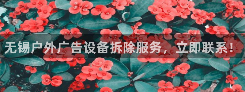 杏宇平台代理怎么样