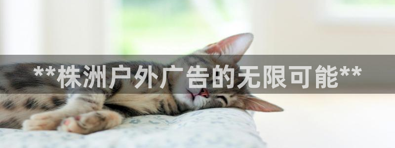 杏宇平台开户