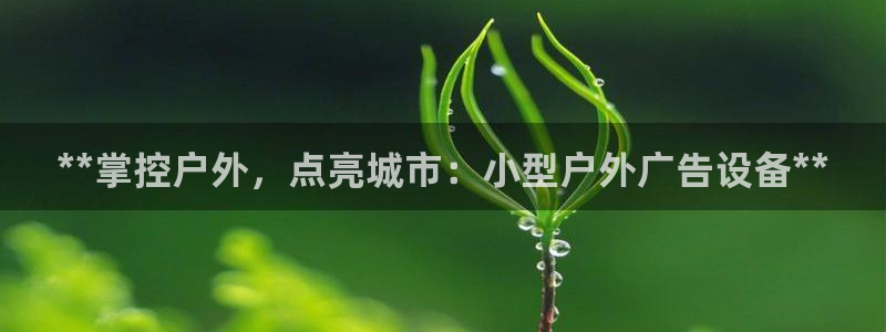 杏宇平台代理怎么样