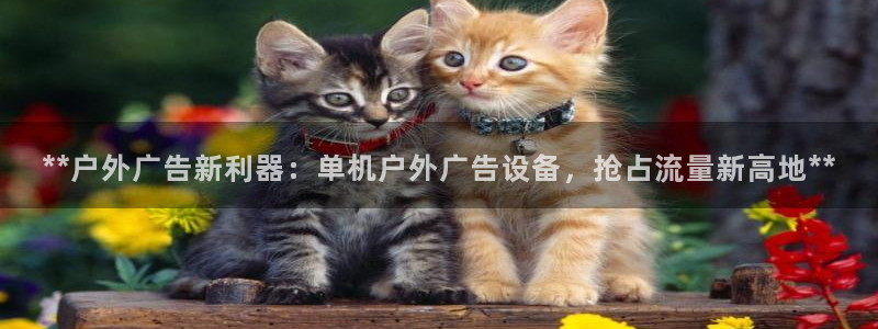 杏宇代理注册