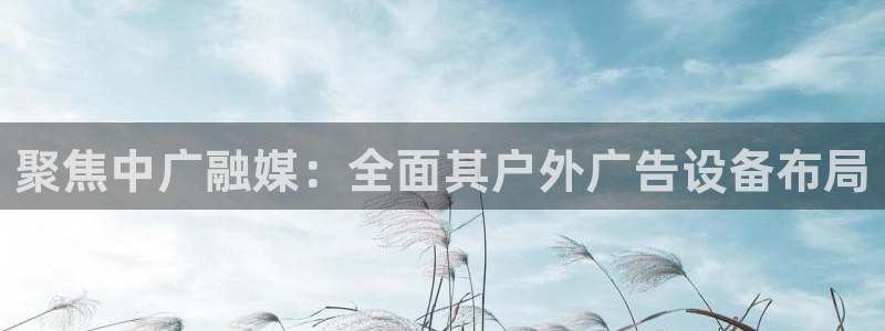 杏宇平台代理