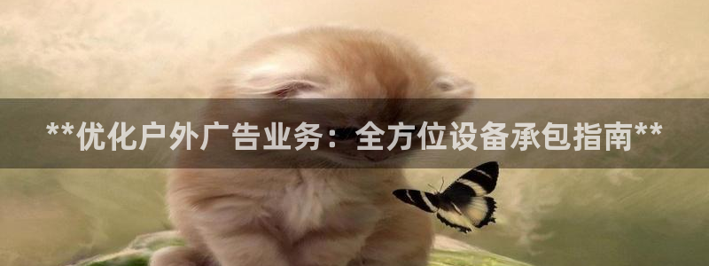 杏宇平台提现为什么这么久呢：**优化户外广告业务：全方位设备承包指南**