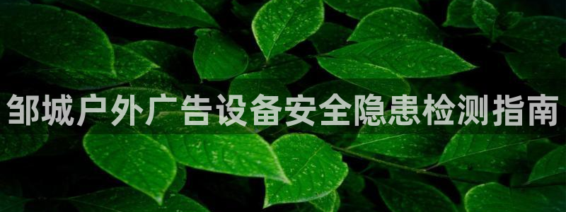 杏宇平台代理多少钱一个月