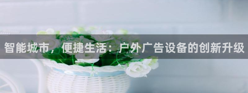 杏宇平台怎么样赚钱