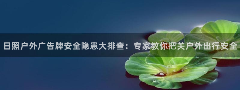 杏宇平台招商