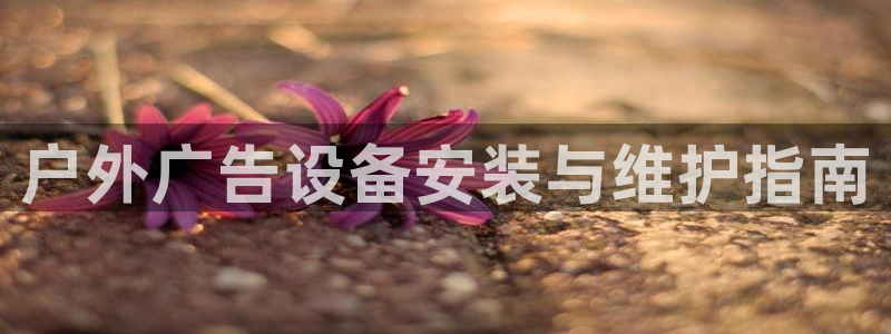 杏宇平台代理多少钱一个月