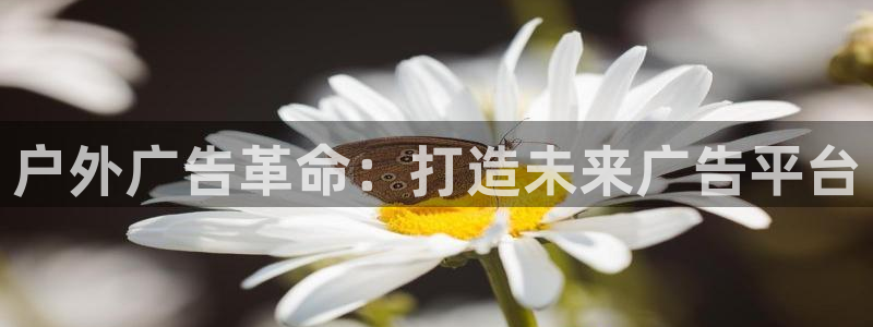 杏宇官方平台官网下载