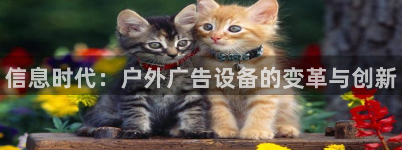 杏宇平台代理多少钱