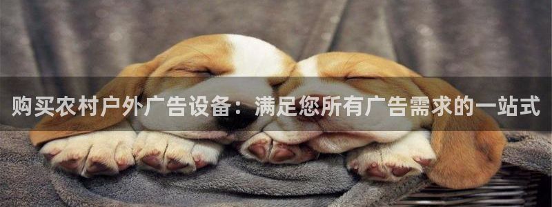 杏宇官方平台官网入口：购买农村户外广告设备：满足您所有广告需求的一站式