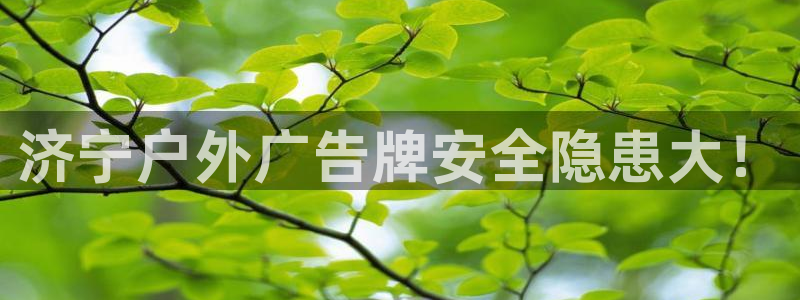 杏宇平台登录步骤是什么